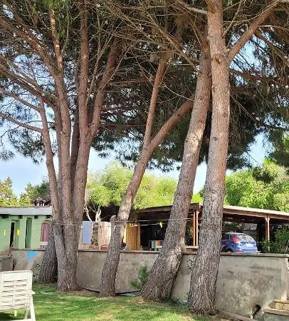 Spiaggia Di Mezzo *